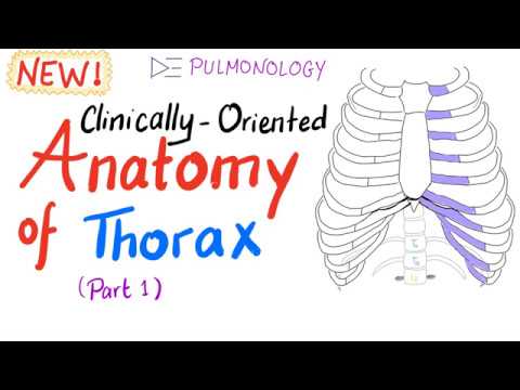 Clinically-Oriented Anatomy of the Thorax (part 1)