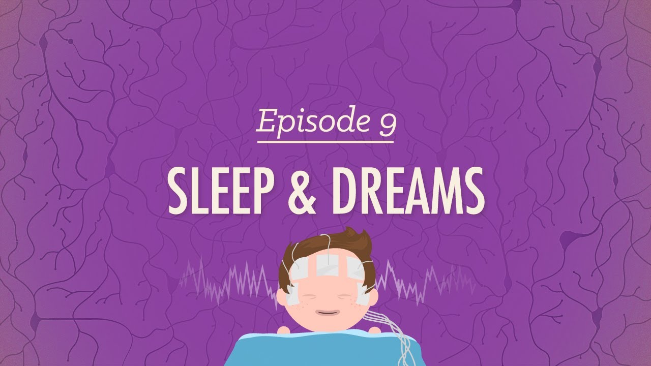 To Sleep, Perchance to Dream: Crash Course Psychology #9
