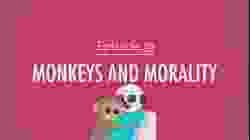 Monkeys and Morality: Crash Course Psychology #19