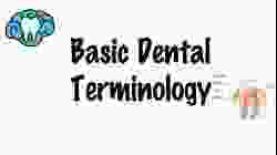 Basic Dental Terminology