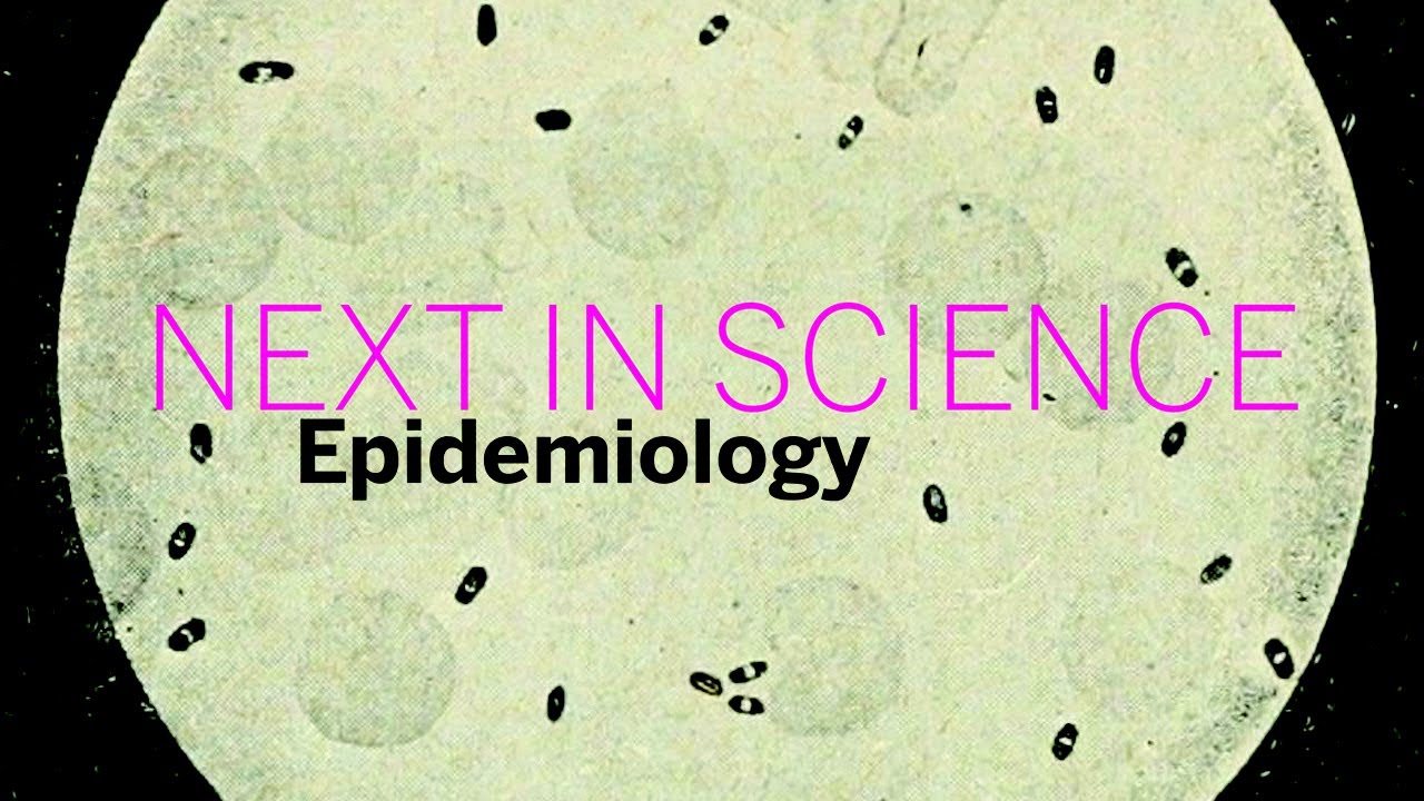 Next in Science: Epidemiology | Part 2 || Radcliffe Institute