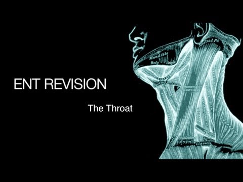 ENT Revision - The Throat