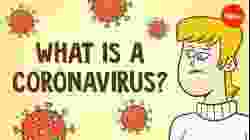 What is Corona virus?