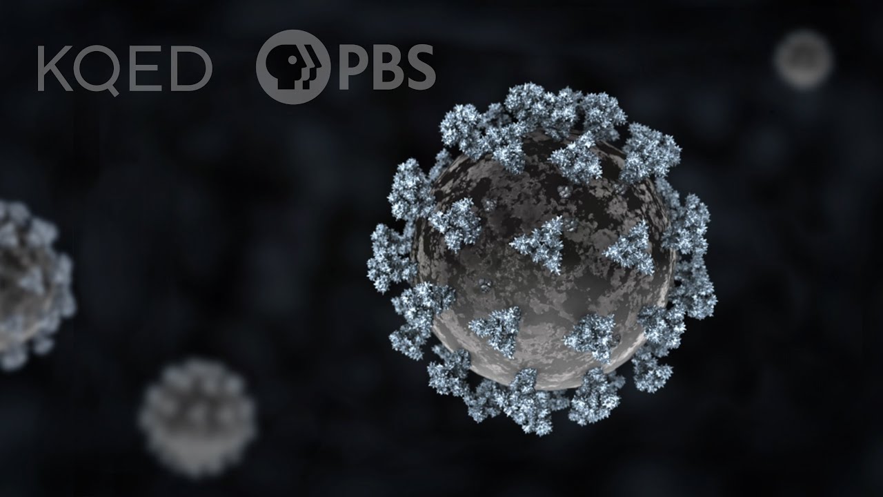 How The Coronavirus Attacks Your Lungs | Deep Look